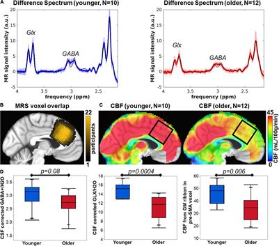 The Relationship Between Resting Cerebral Blood Flow, Neurometabolites, Cardio-Respiratory Fitness and Aging-Related Cognitive Decline